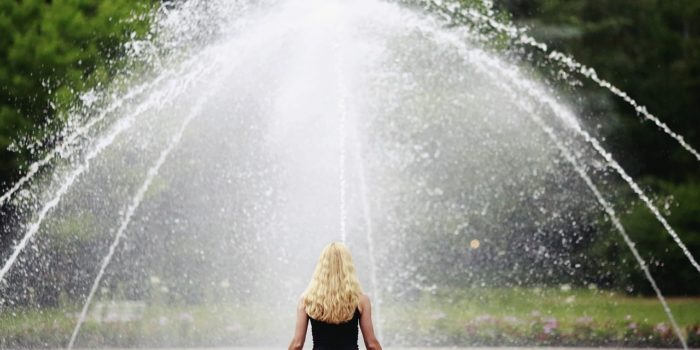 Bild von Binja69 auf Pixabay