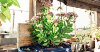 Bild von Markus Spiske auf Pixabay