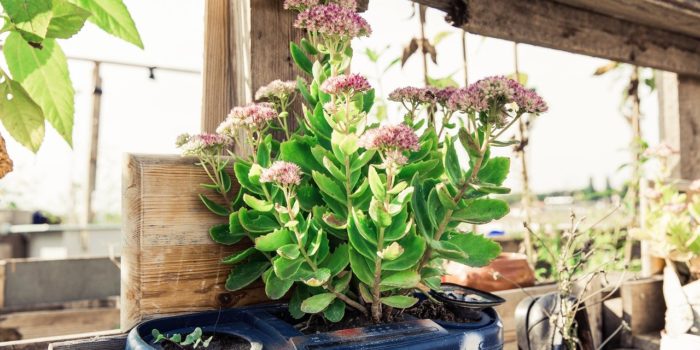 Bild von Markus Spiske auf Pixabay