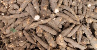 Bild von feraugustodesign auf Pixabay