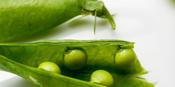 Bild von CogSciLibrarian auf Pixabay